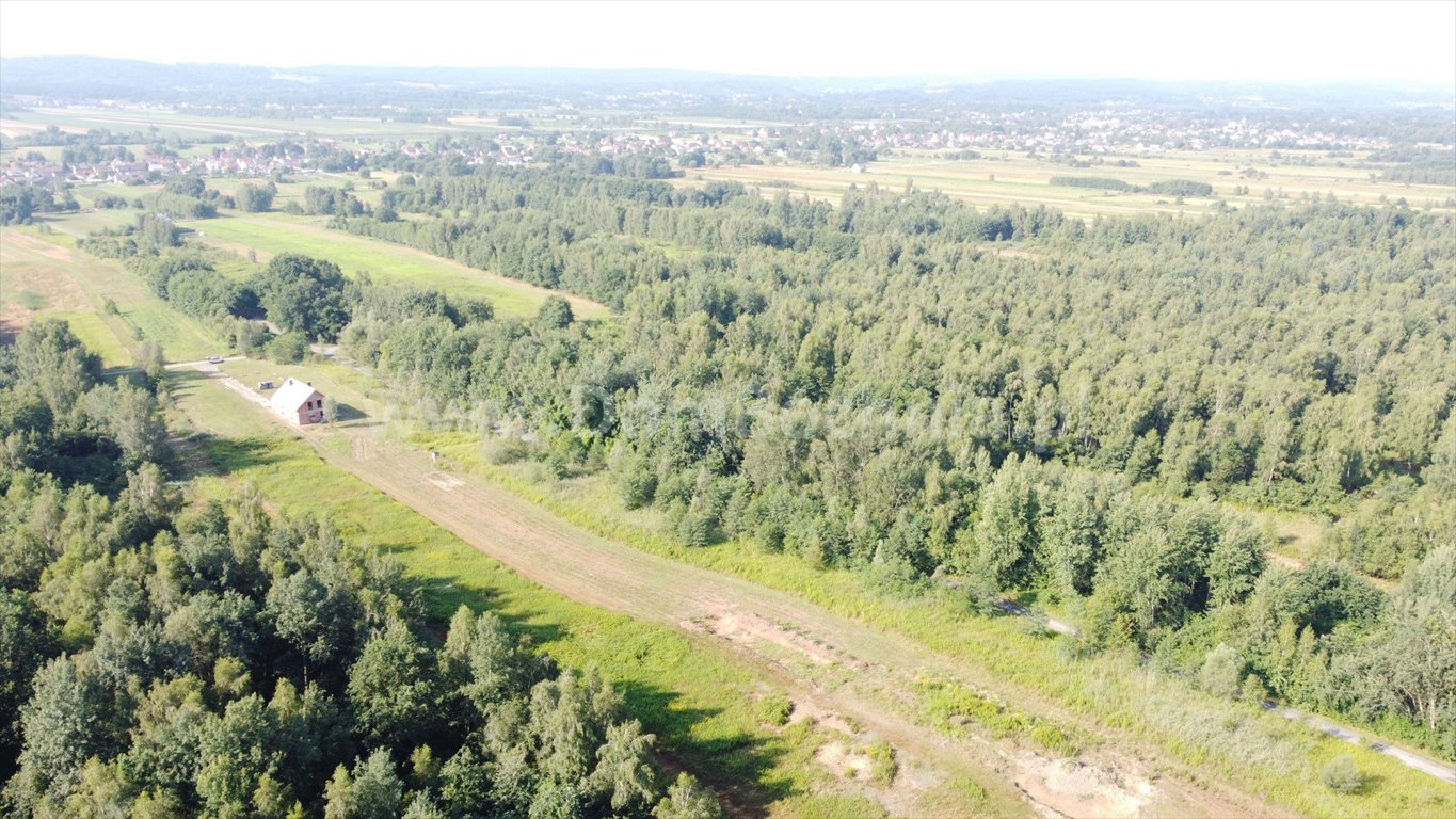 Działka budowlana na sprzedaż Jodłówka  12 700m2 Foto 11