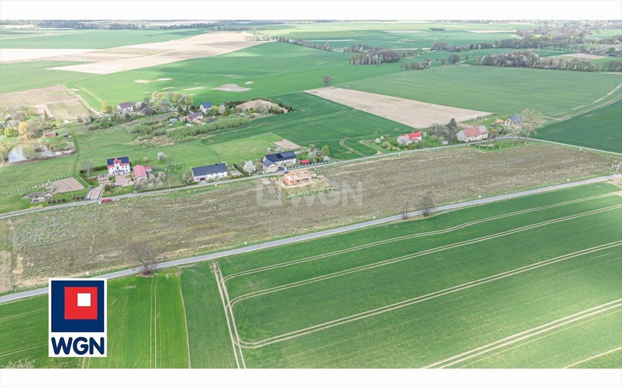 Działka budowlana na sprzedaż Żeliszów, Żeliszów  1 304m2 Foto 7