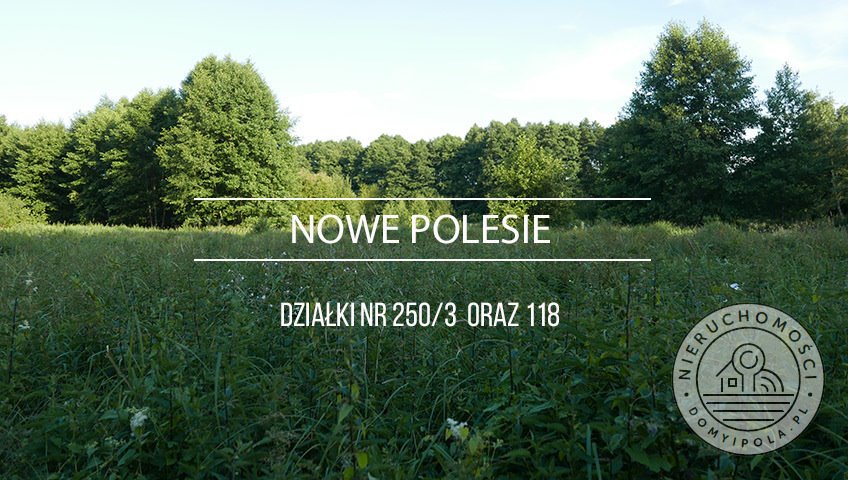 Duża działka z kanałem i zielenią, idealna pod uprawę Nowe Polesie  10 433m2 Foto 1