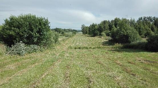 Działka rolna na sprzedaż Pierwągi  11 106m2 Foto 2