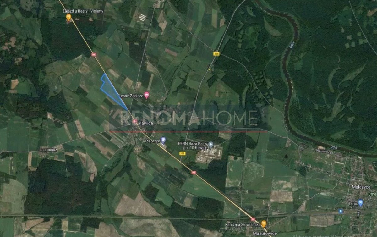 Działka rolna 10,74 ha przy DK94 z możliwością zabudowy Kawice  107 400m2 Foto 1