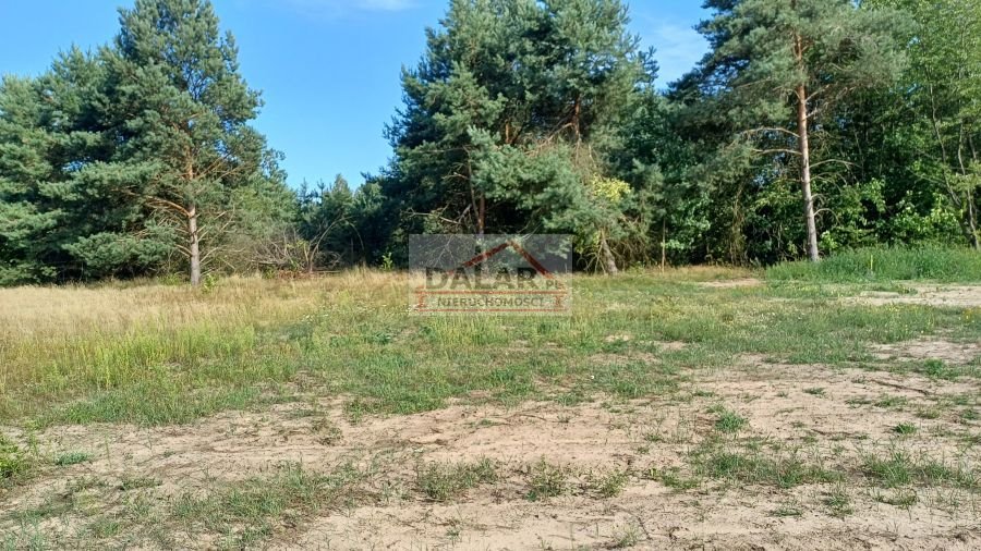 Działka budowlana na sprzedaż Grabów nad Pilicą, Lipinki  1 200m2 Foto 12