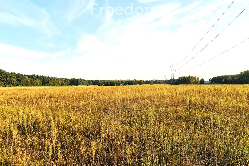 Działka siedliskowa na sprzedaż Zuzułka  3 001m2 Foto 2