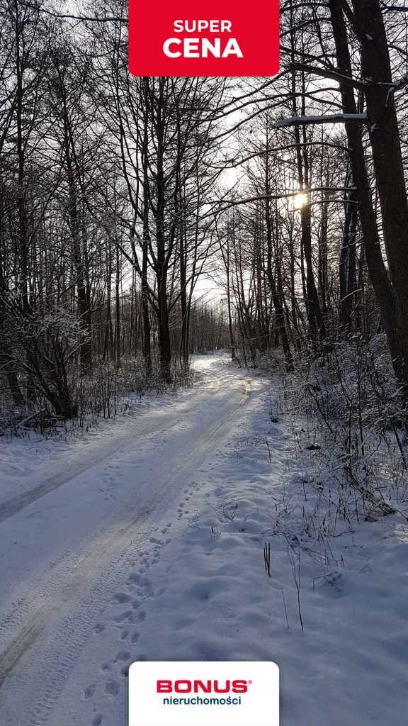 Działka budowlana na sprzedaż Sielsko  3 000m2 Foto 8