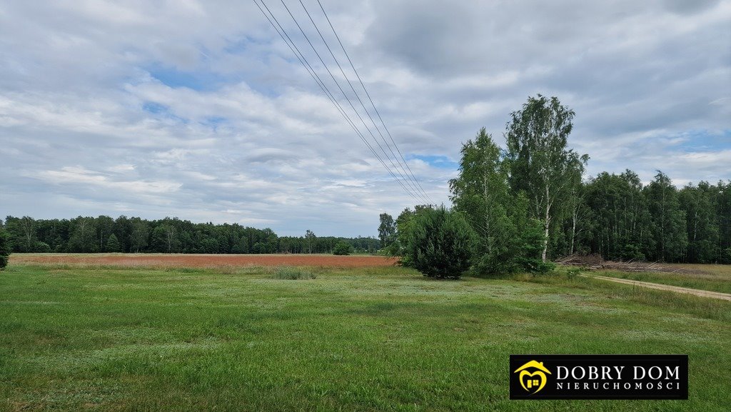 Na sprzedaż działka 3000 m² z warunkami zabudowy i mediami Pokaniewo-Kolonia  3 000m2 Foto 1