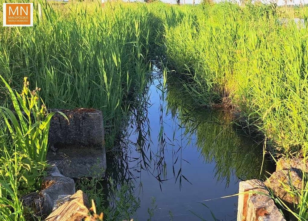 Działka rekreacyjna na sprzedaż Grobla  2 700m2 Foto 11