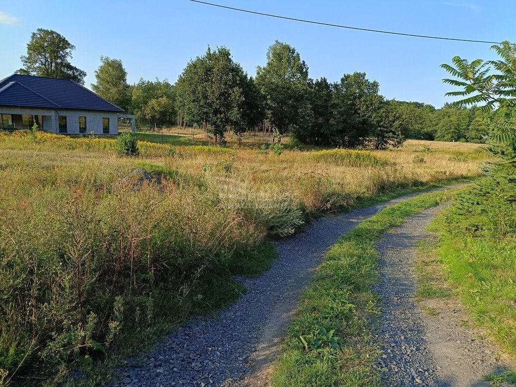 Działka budowlana na sprzedaż Ławszowa  3 100m2 Foto 8