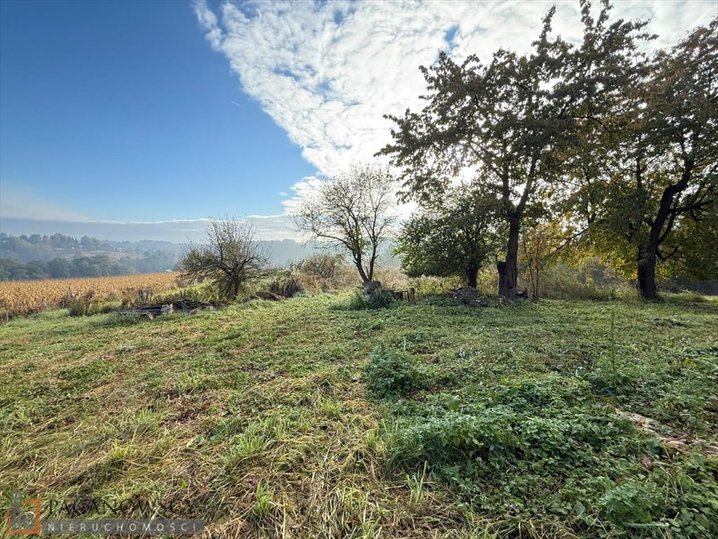 Działka budowlana na sprzedaż Owczary  10 866m2 Foto 1