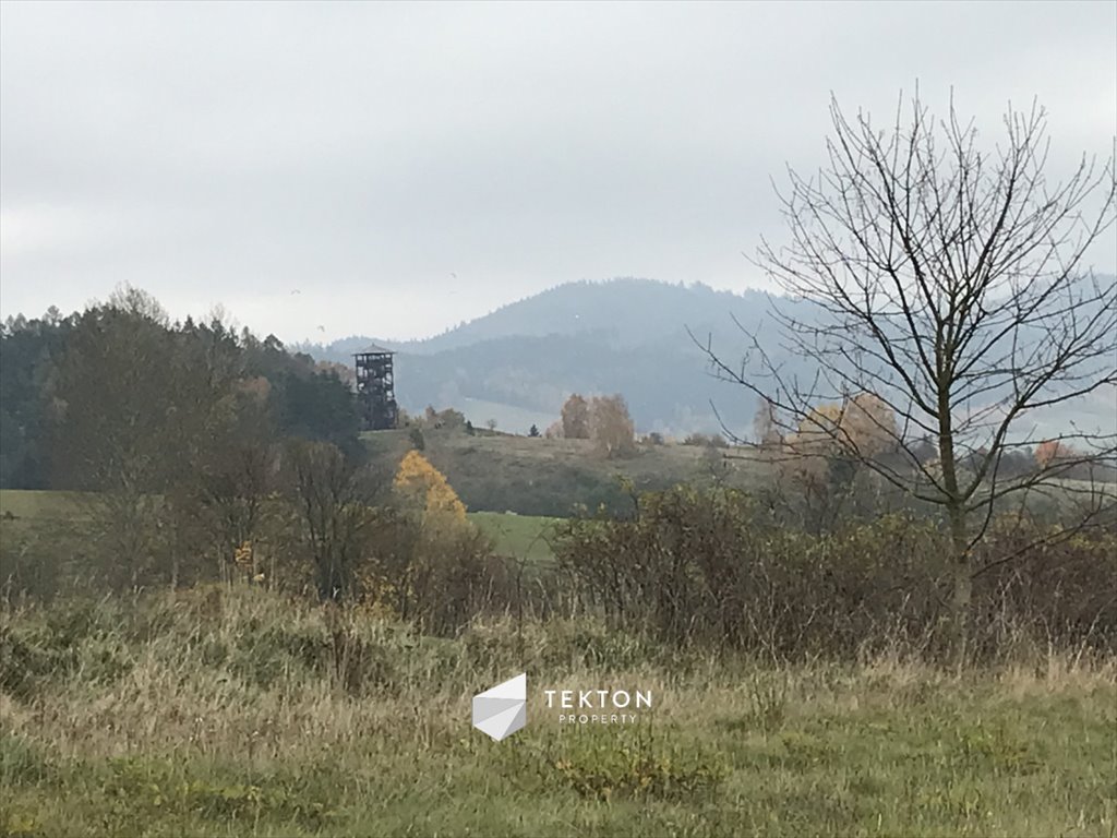 Działka budowlana na sprzedaż Mieroszów, Kwiatowa  11 500m2 Foto 1