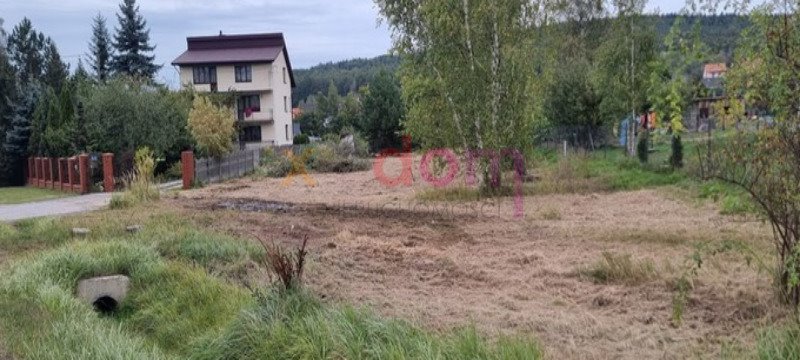 Działka budowlana na sprzedaż Miedziana Góra  3 200m2 Foto 2