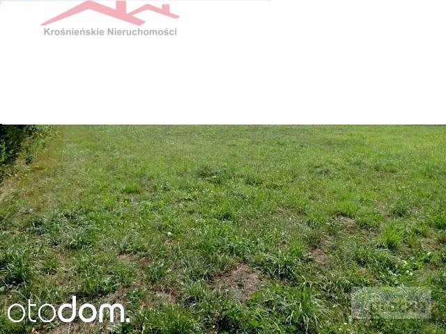 Działka leśna 1,03 ha z możliwością zakupu sąsiedniej Chorkówka  10 300m2 Foto 1