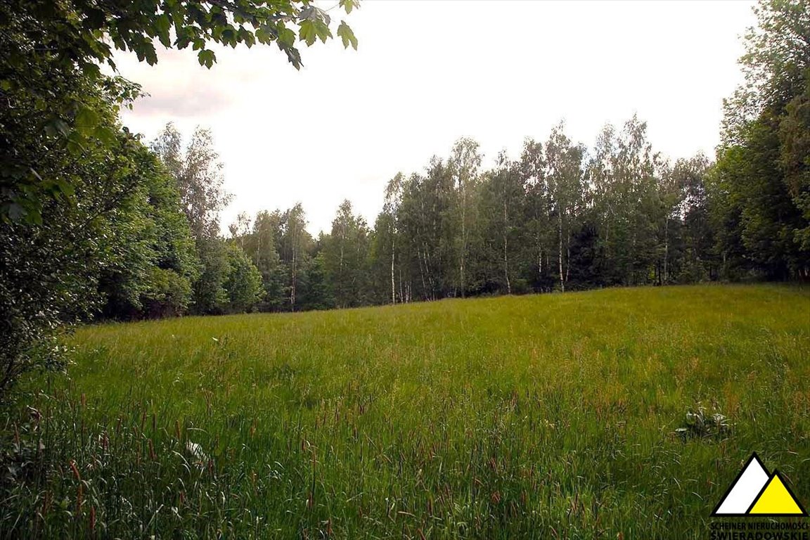 Działka budowlana na sprzedaż Antoniów, Antoniów  2 000m2 Foto 12