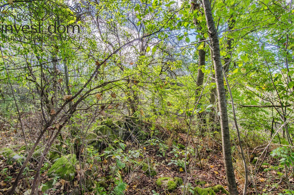 Działka budowlana na sprzedaż Nowica  1 900m2 Foto 7