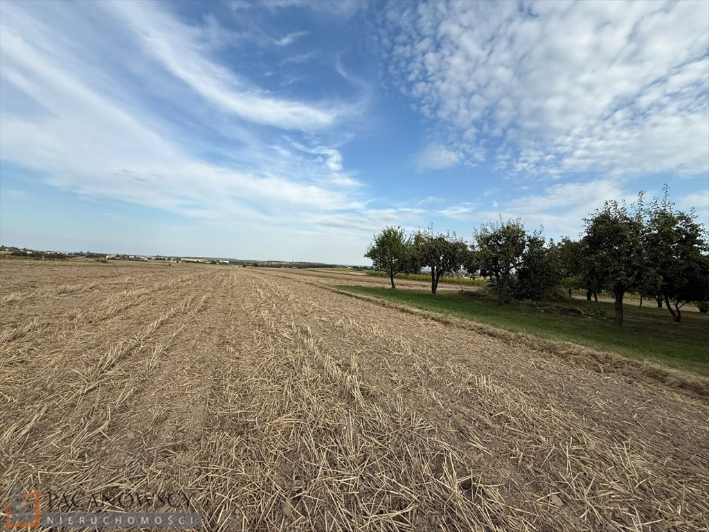 Działka inna na sprzedaż Cianowice Duże  9 194m2 Foto 1