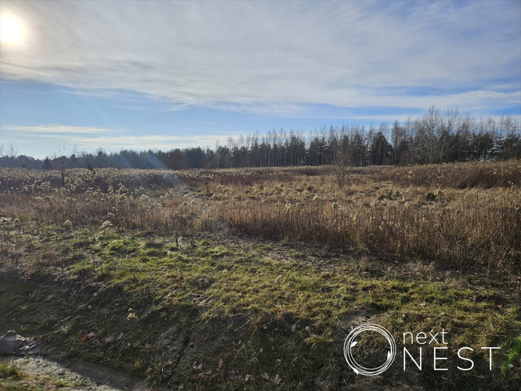 Działka przemysłowo-handlowa na sprzedaż Jaroszowa Wola, Leśna  3 500m2 Foto 5