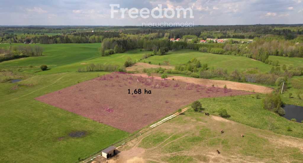 Działka rolna na sprzedaż Różnowo  16 800m2 Foto 4