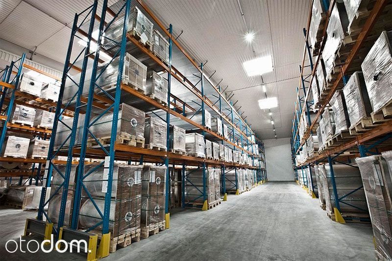 Lokal użytkowy na wynajem Kielce 3 800m2 Foto 1 Lokal użytkowy na wynajem Kielce 3 800m2 Foto 1