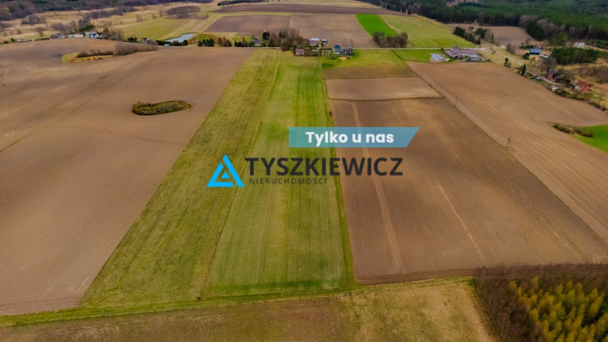 Działka siedliskowa na sprzedaż Gumieniec  3 000m2 Foto 1