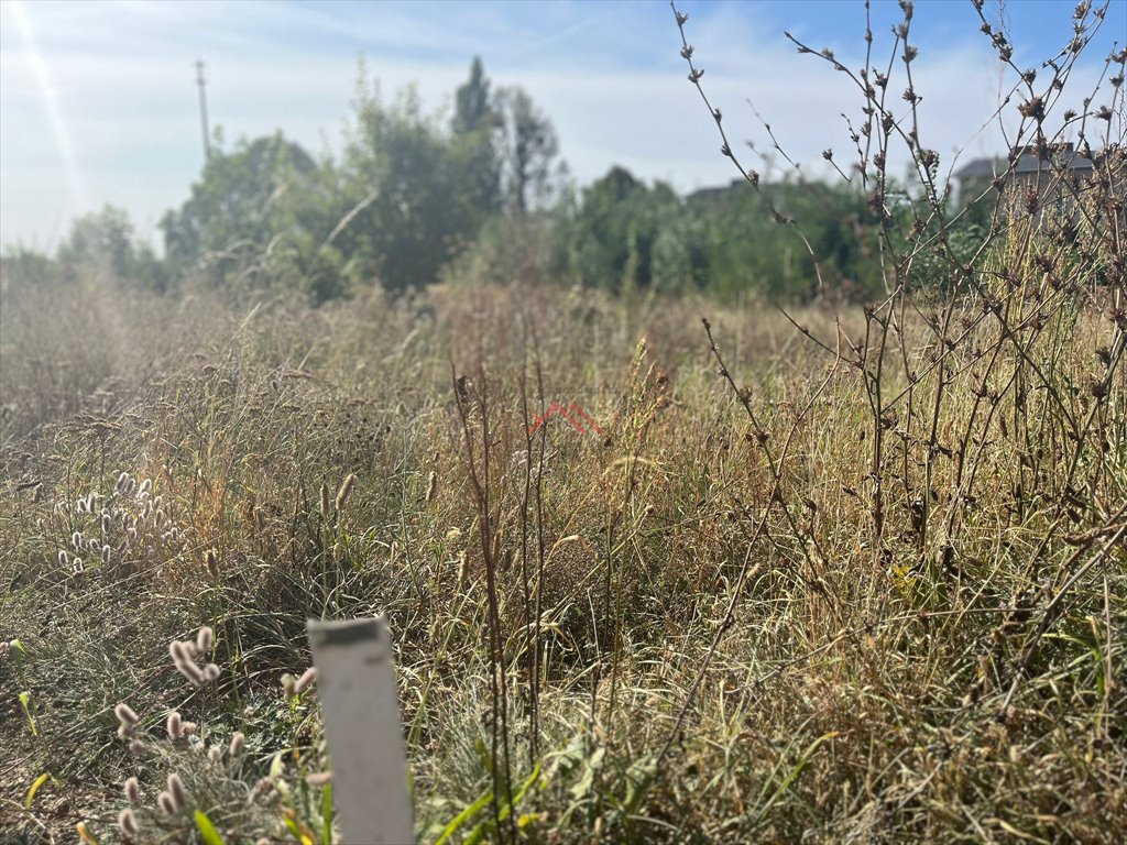 Działka rolna na sprzedaż Najmowo, najmowo  16 000m2 Foto 5