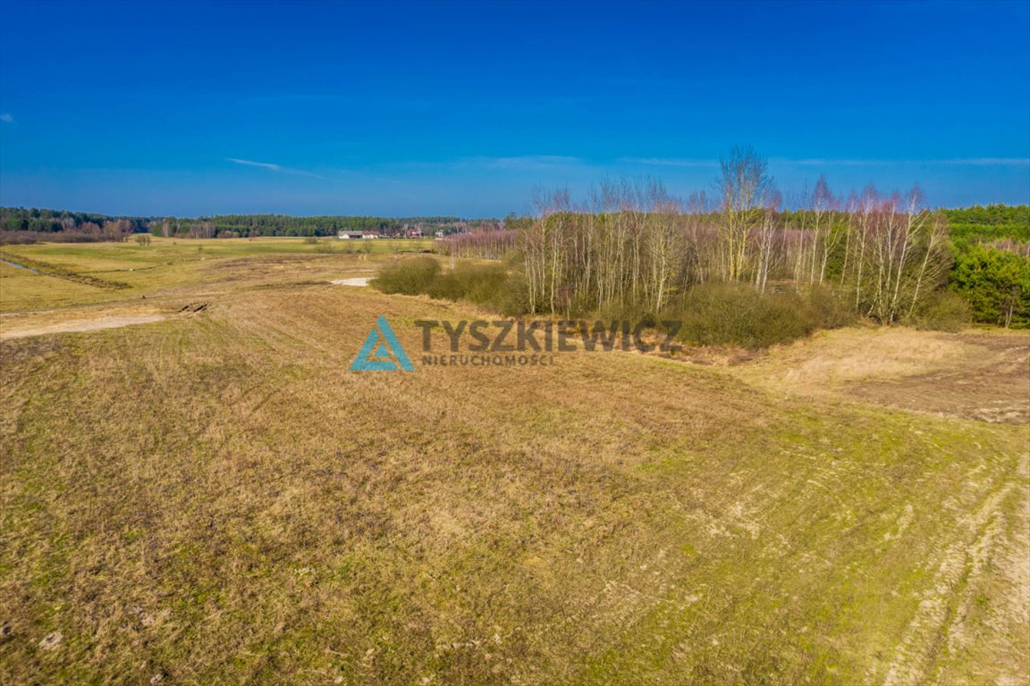 Działka rolna na sprzedaż Kurcze  3 517m2 Foto 11