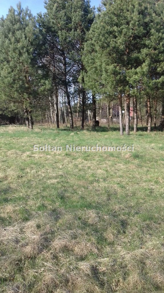 Działka nad Jeziorem Jeziorak 11 480 m², media, dojazd Iława  11 480m2 Foto 1