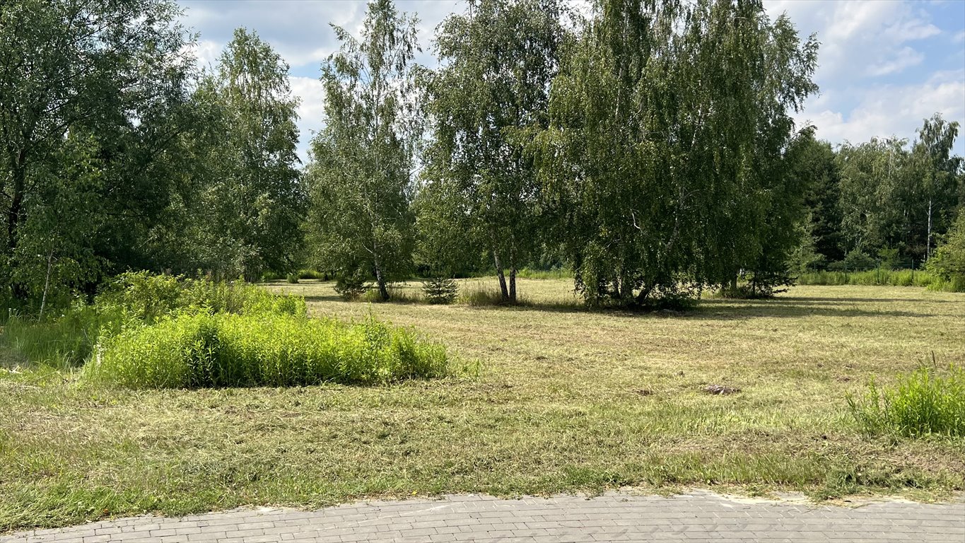 Działka budowlana na sprzedaż Kierszek, Prawdziwka  3 000m2 Foto 2