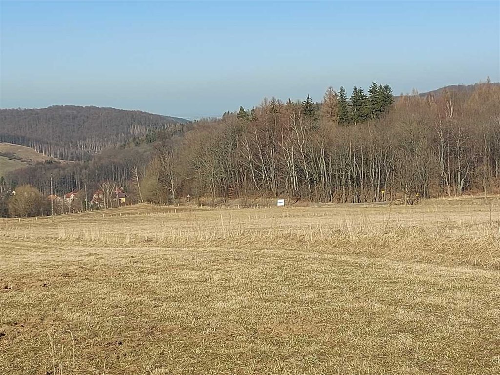 Działka inna na sprzedaż Walim, Niedźwiedzica  1 979m2 Foto 2