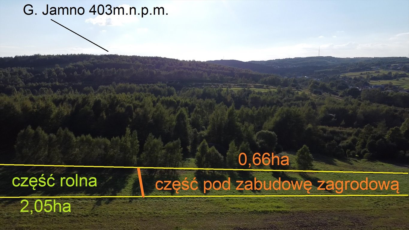 Działka siedliskowa na sprzedaż Czerwona Górka  27 100m2 Foto 4