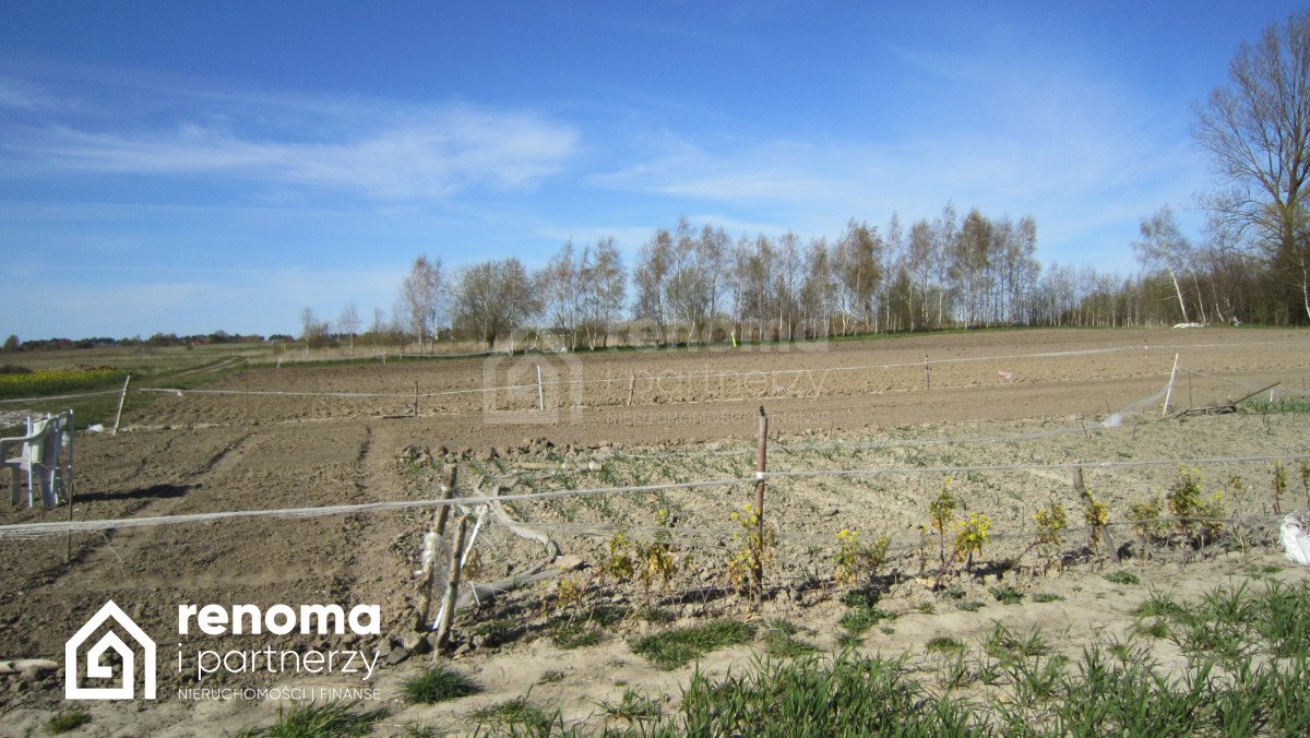 Sprzedam działkę 1000 m² z warunkami zabudowy w Strzeżenicach Strzeżenice  1 000m2 Foto 1