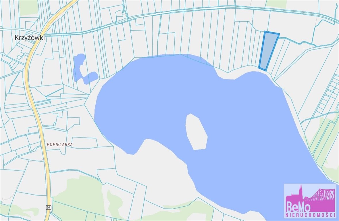 Działka rolna na sprzedaż Lipno, Ostrowite  10 600m2 Foto 1