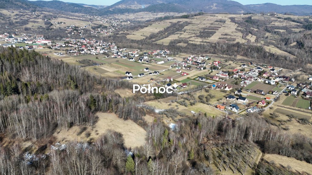 Działka rolna 0,56 ha w Kamienicy – spokój i natura Kamienica  5 600m2 Foto 1