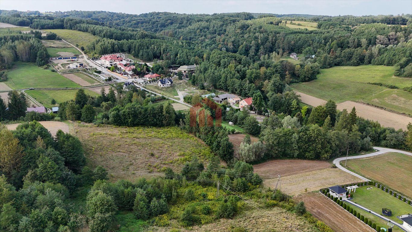 Działka budowlana na sprzedaż Niedźwiada  5 500m2 Foto 3