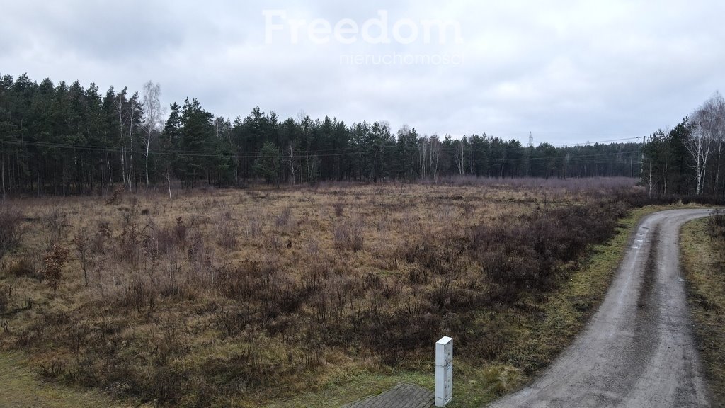 Działka komercyjna na sprzedaż Wola Paprotnia, Jana Kilińskiego  30 100m2 Foto 3