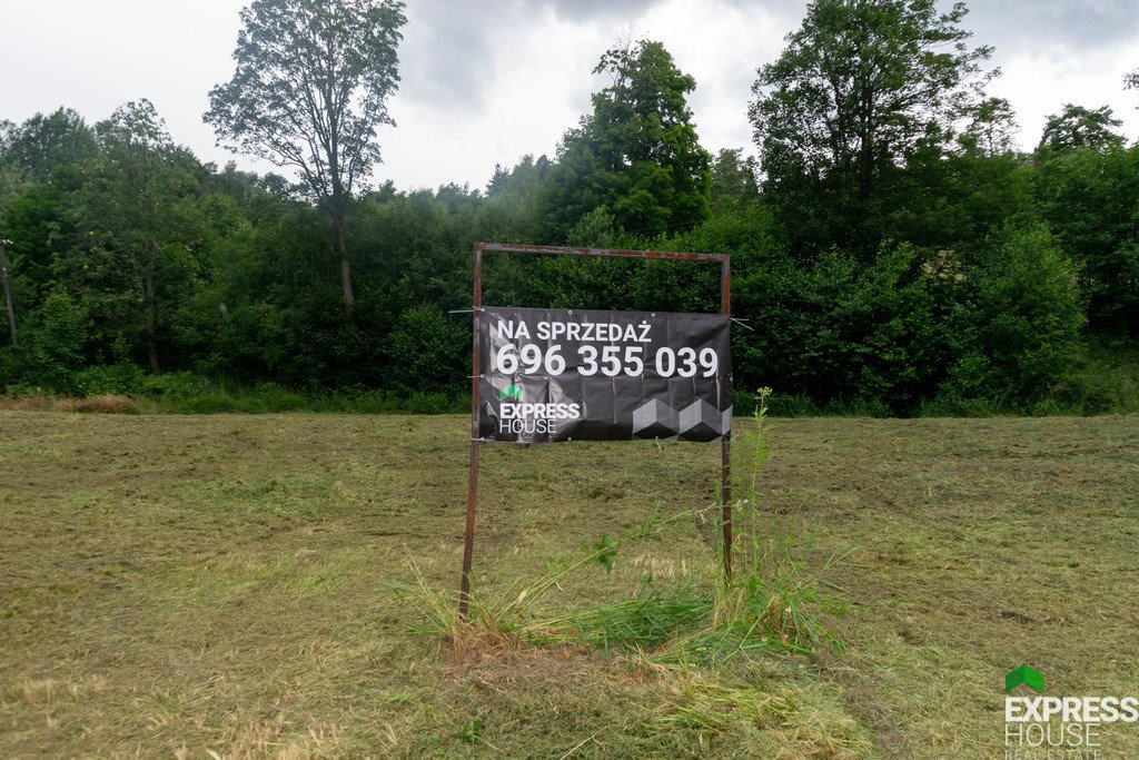 Działka budowlana na sprzedaż Stronie Śląskie, Polna  2 617m2 Foto 15