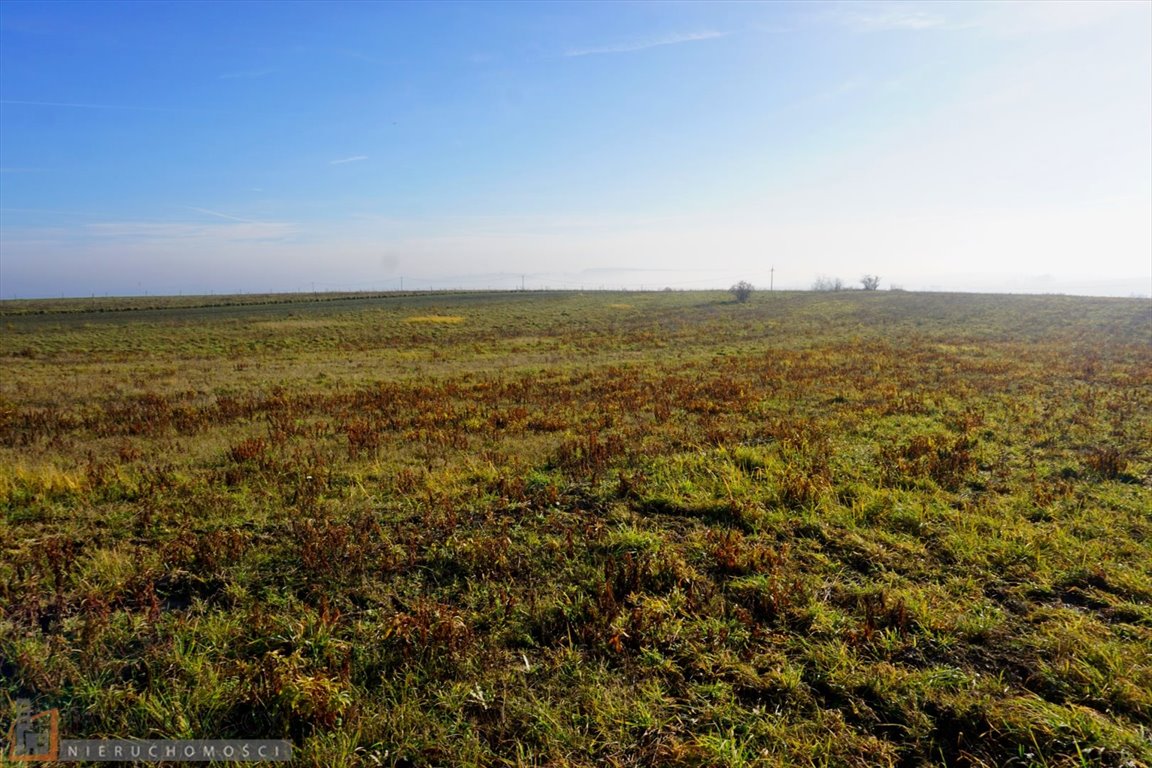 Działka budowlana na sprzedaż Iwanowice Włościańskie  15 000m2 Foto 1