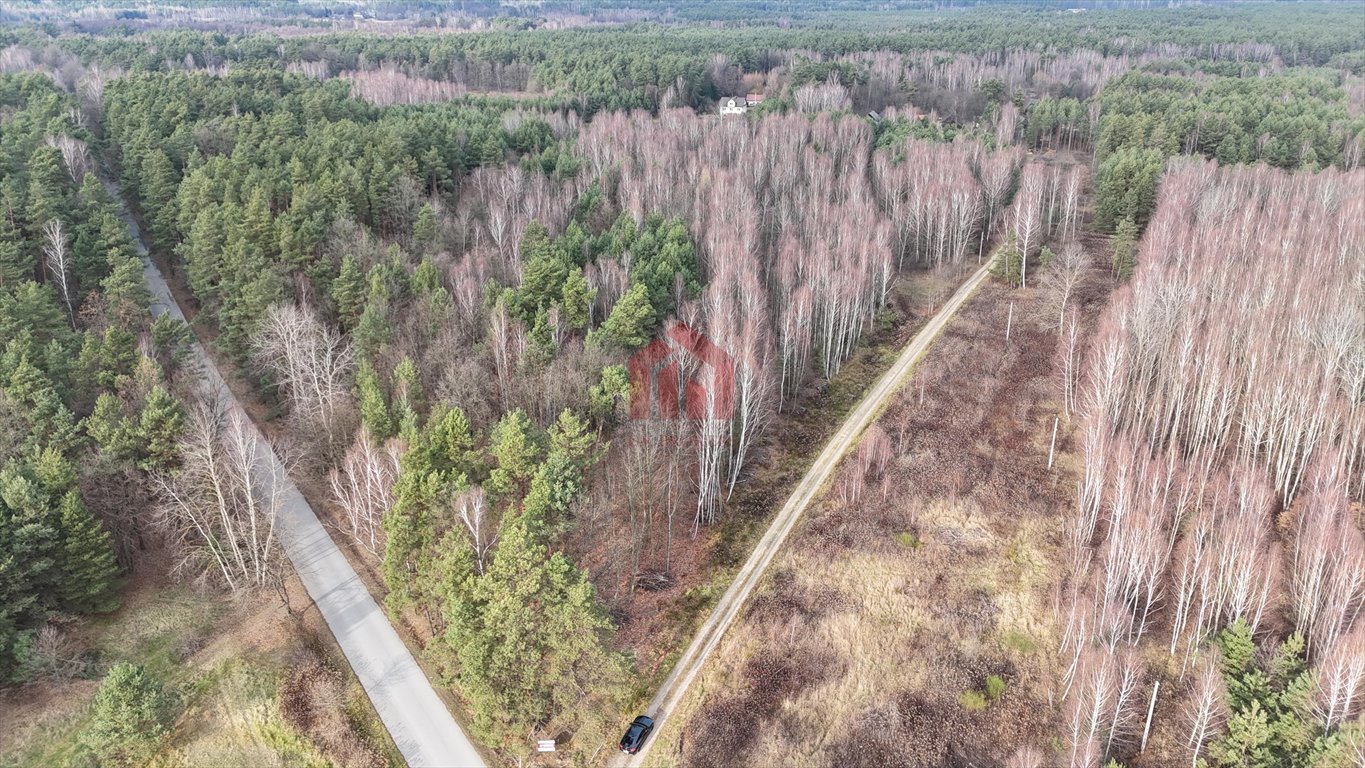 Działka budowlana na sprzedaż Czarna Sędziszowska  1 100m2 Foto 2