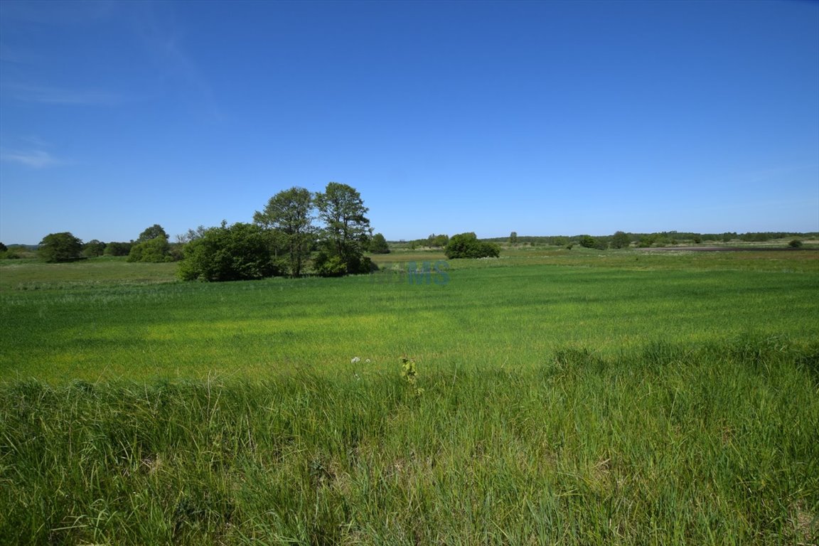 Działka rolna na sprzedaż Mosty  5 259m2 Foto 4