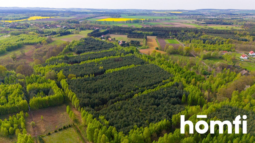 Działka budowlana na sprzedaż Jaźwiny  21 960m2 Foto 7