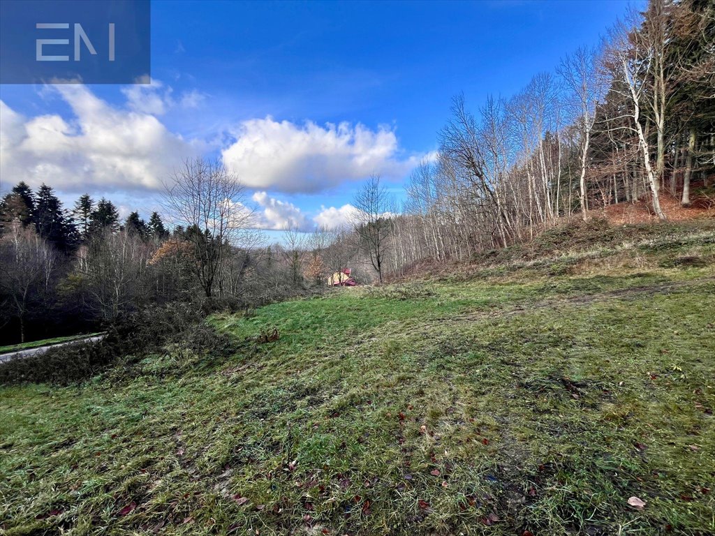 Działka budowlana na sprzedaż Żarnowa  21 100m2 Foto 4