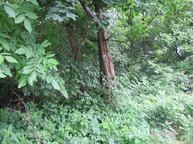 Działka budowlana na sprzedaż Kraków, Wola Justowska 796m2 Foto 1 Działka budowlana na sprzedaż Kraków, Wola Justowska 796m2 Foto 1