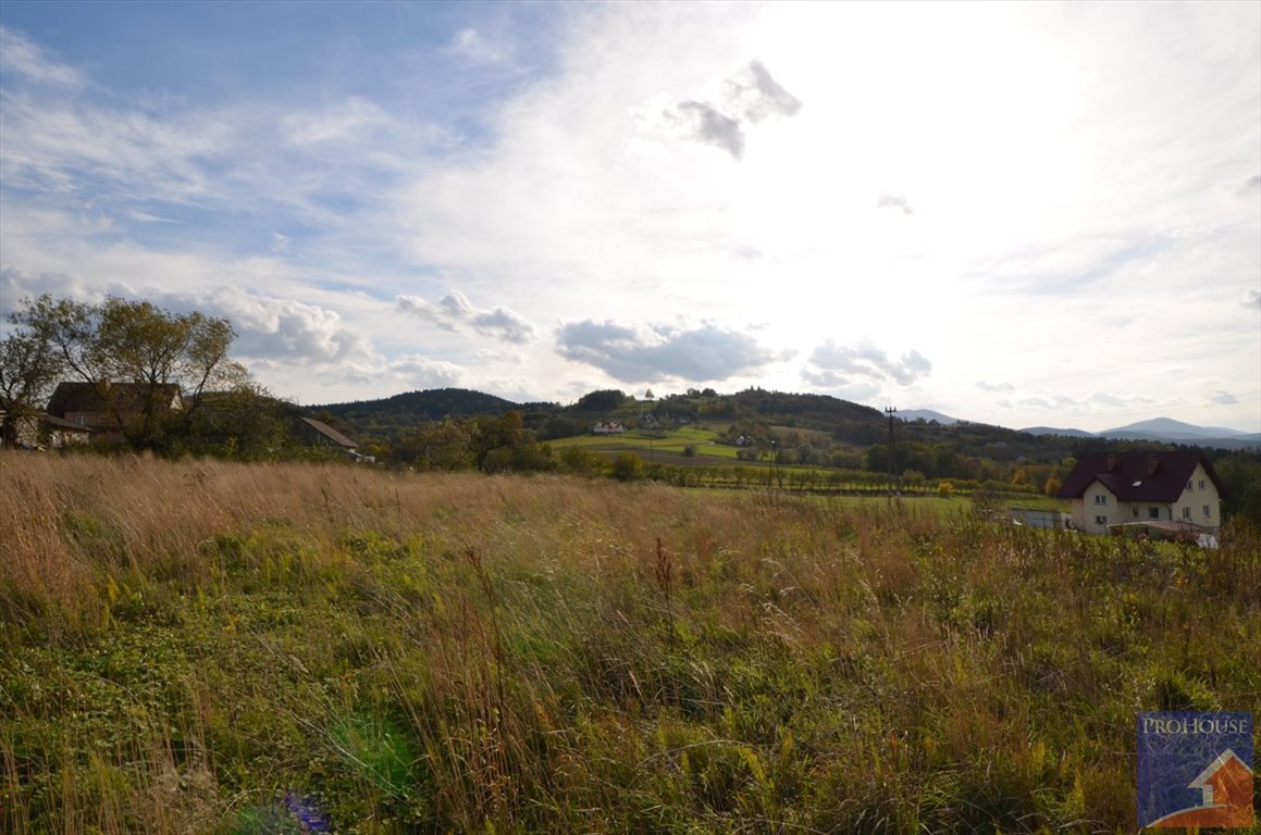 Działka budowlana na sprzedaż Kostrza  5 900m2 Foto 5