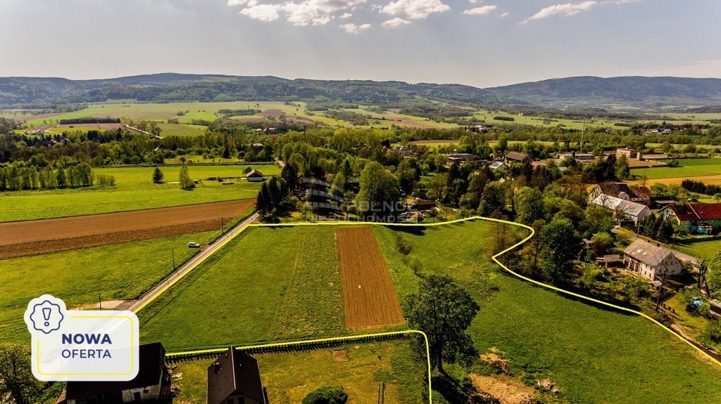 Działka budowlana na sprzedaż Domaszków  18 167m2 Foto 1