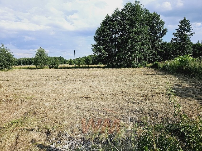 Działka budowlana na sprzedaż Grójec  3 050m2 Foto 3