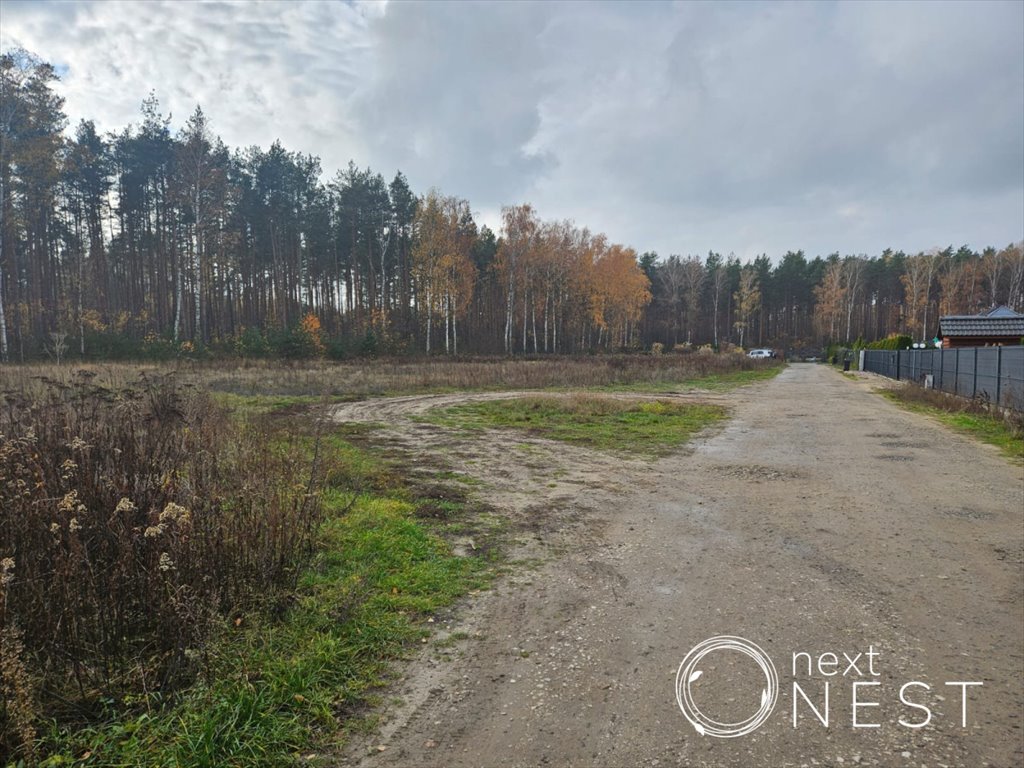 Działka budowlana na sprzedaż Krępa, Dojazdowa  6 166m2 Foto 1