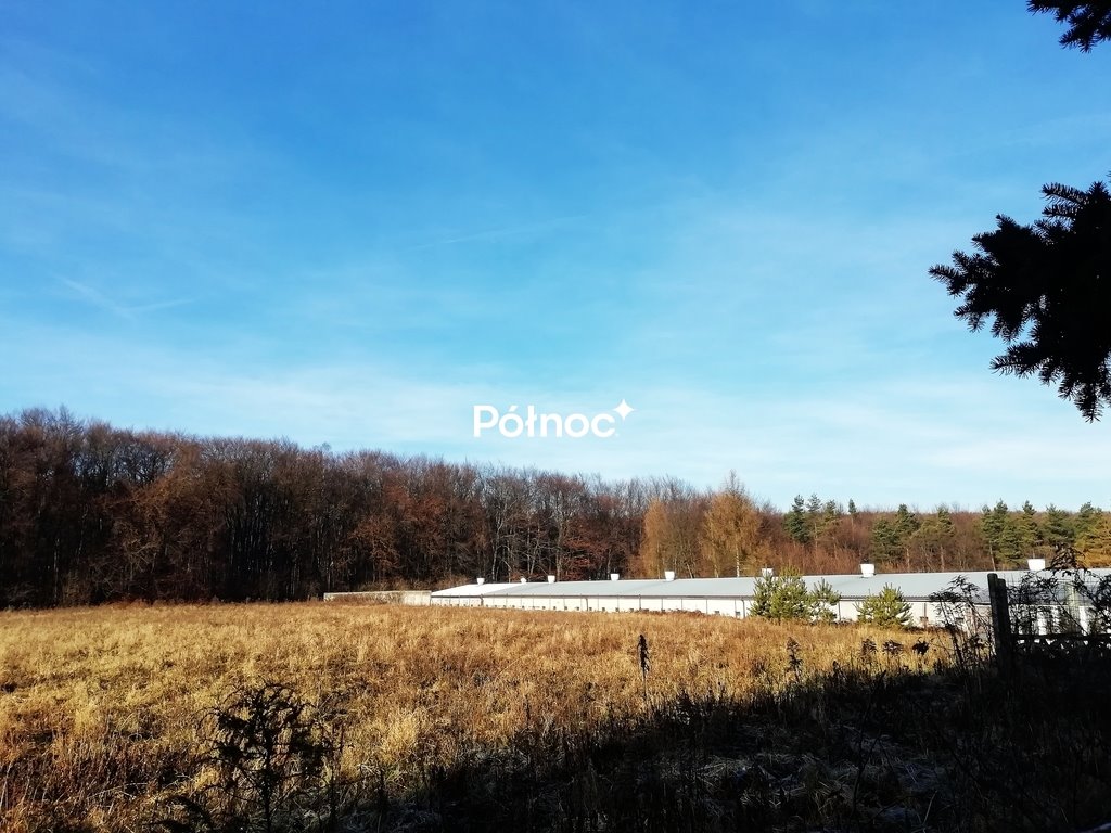 Grunt z halą 1470 m² i domem, górskie widoki, inwestycja Nawojowa Góra  49 400m2 Foto 1