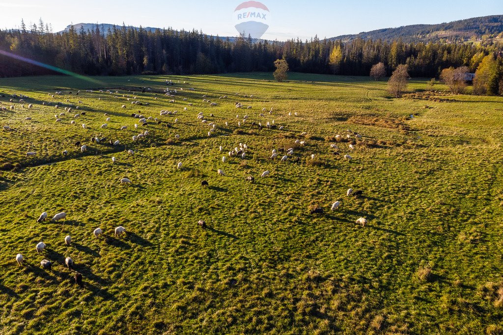 Działka rolna na sprzedaż Kościelisko  2 957m2 Foto 11