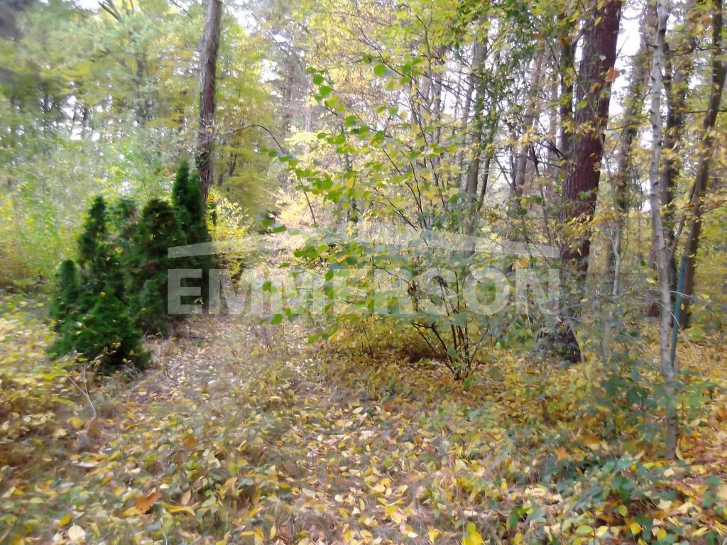 Działka leśna na sprzedaż Piaseczno, Zalesie Dolne  2 511m2 Foto 1