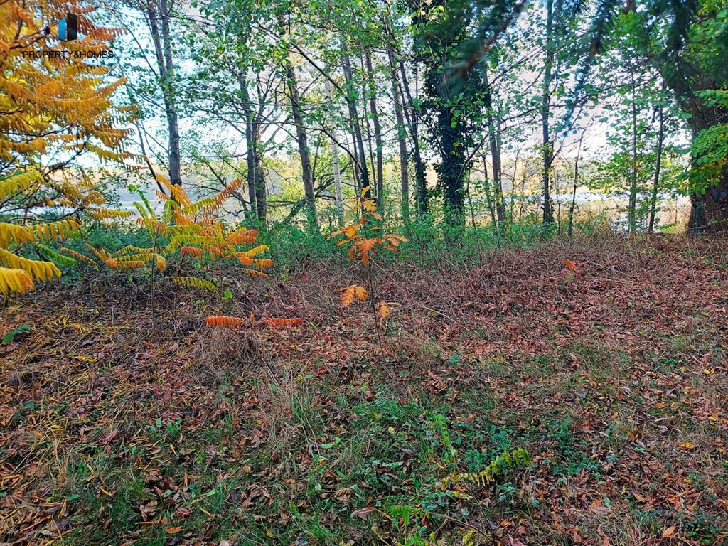 Działka rekreacyjna na sprzedaż Wiatrowo  200m2 Foto 3