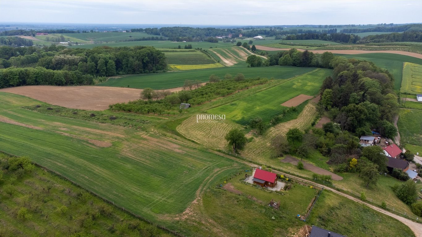 Działka inna na sprzedaż Brochocin, Malinowa  1 176m2 Foto 3