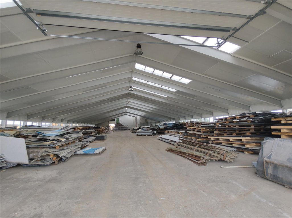 Zapraszam do wynajmu hali 1520 m² z biurami i placem w Pacholewie Pacholewo  1 520m2 Foto 1